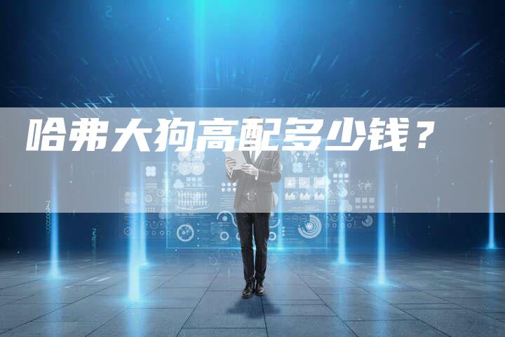 哈弗大狗高配多少钱？