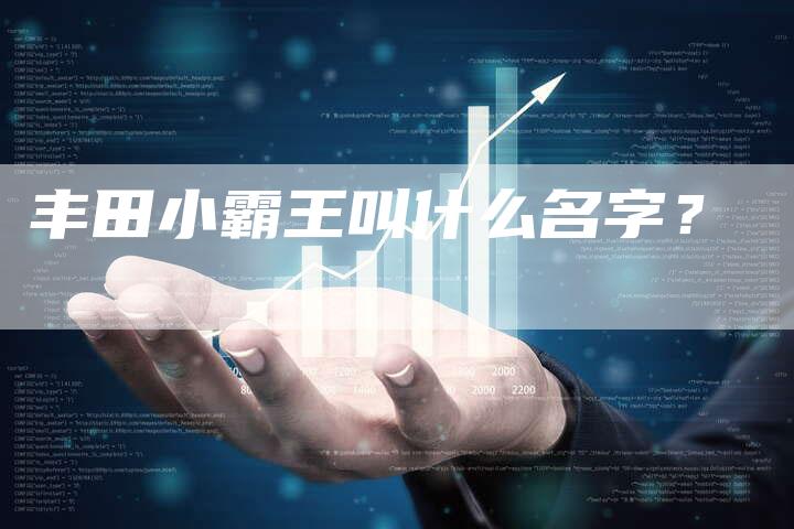 丰田小霸王叫什么名字？-车时代