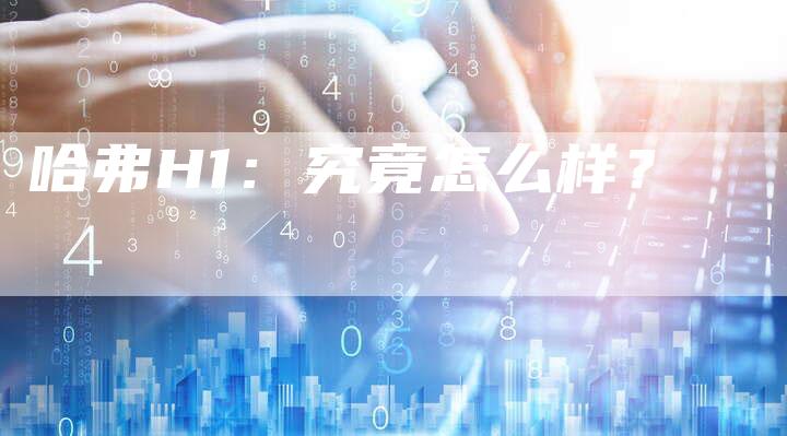 哈弗H1：究竟怎么样？