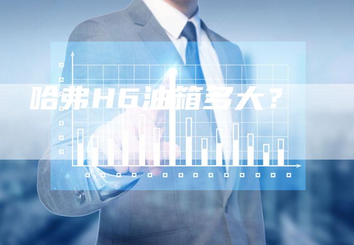 哈弗H6油箱多大?-车时代