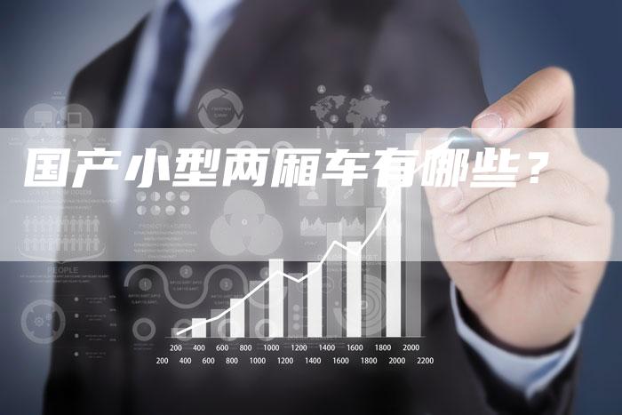 国产小型两厢车有哪些?-车时代