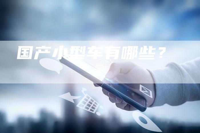 国产小型车有哪些?-车时代