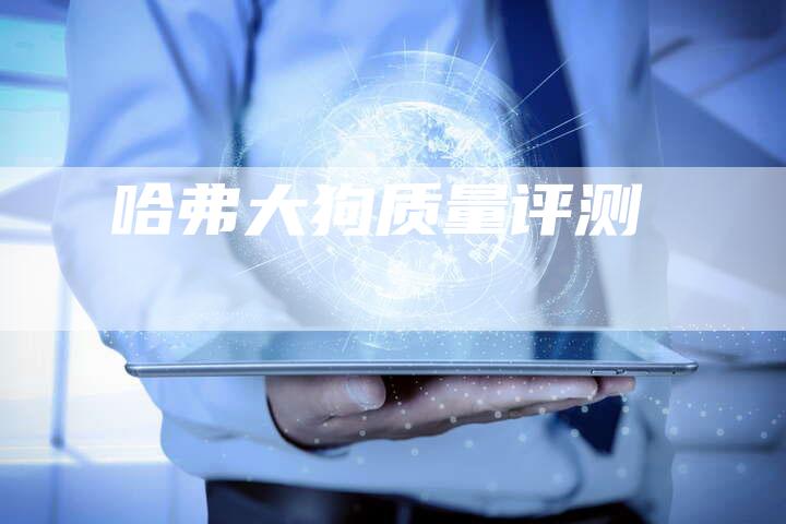哈弗大狗质量评测