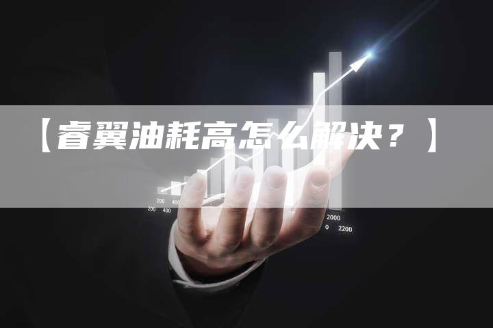 【睿翼油耗高怎么解决?】-车时代