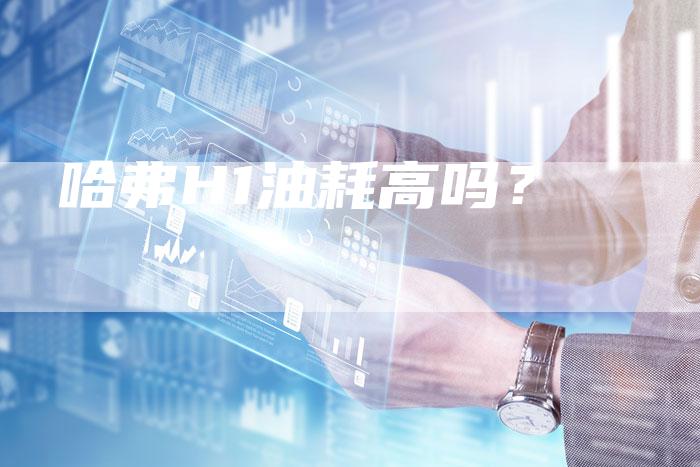 哈弗H1油耗高吗？