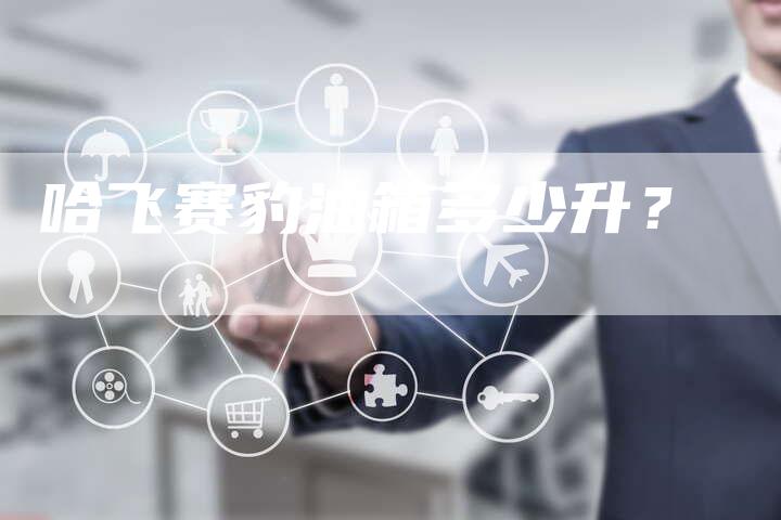 哈飞赛豹油箱多少升?-车时代