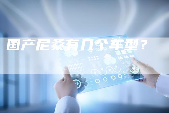 国产尼桑有几个车型?-车时代