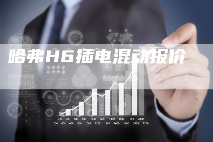 哈弗H6插电混动报价-车时代