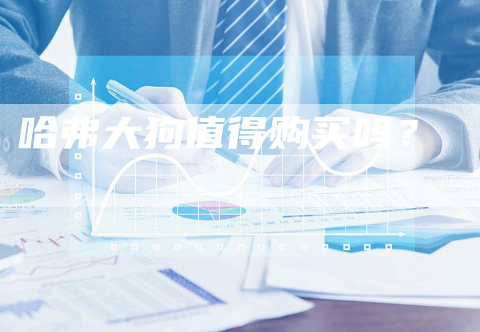 哈弗大狗值得购买吗?-车时代