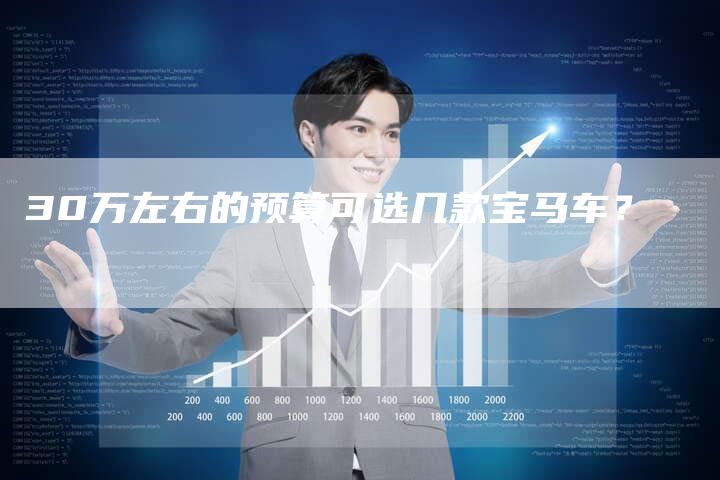 30万左右的预算可选几款宝马车?