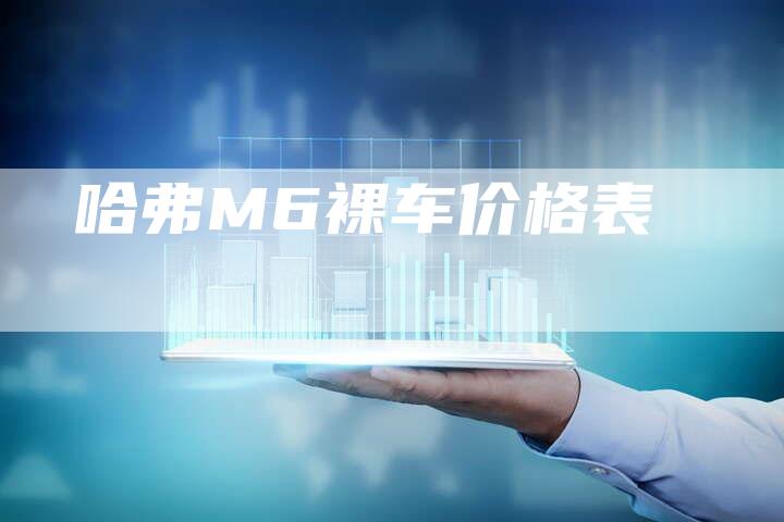 哈弗M6裸车价格表