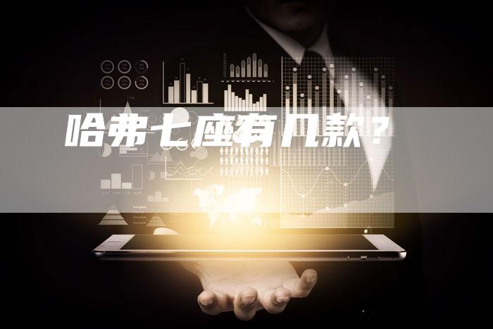 哈弗七座有几款?-车时代
