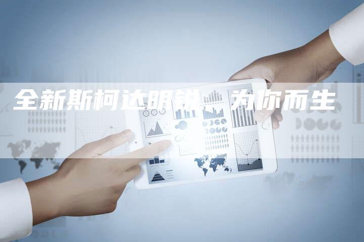 全新斯柯达明锐,为你而生-车时代