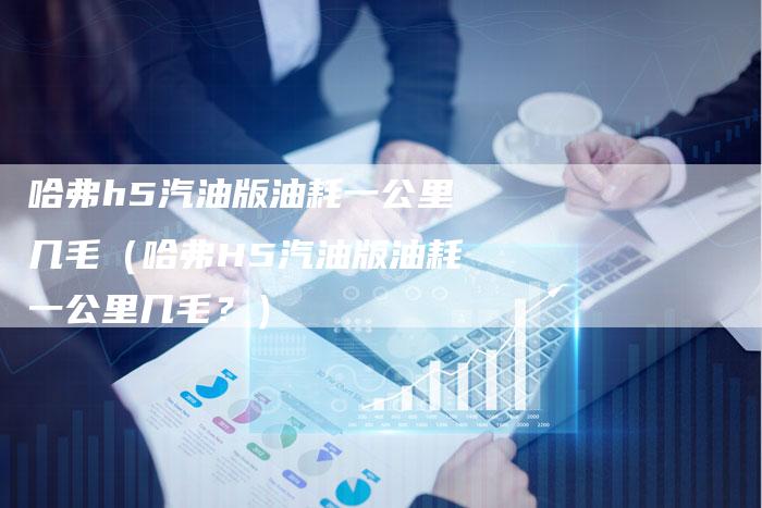 哈弗h5汽油版油耗一公里几毛(哈弗H5汽油版油耗一公里几毛?)-车时代