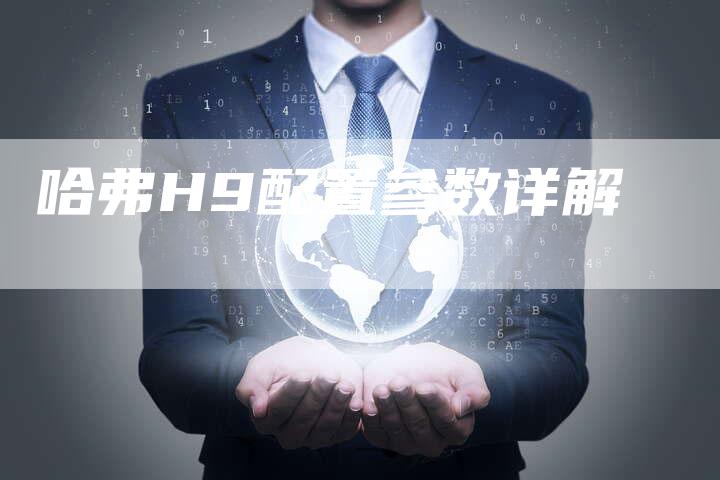 哈弗H9配置参数详解-车时代