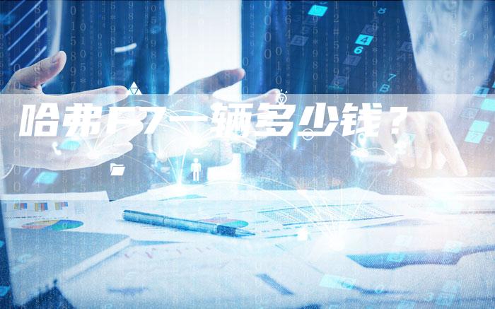 哈弗F7一辆多少钱?-车时代