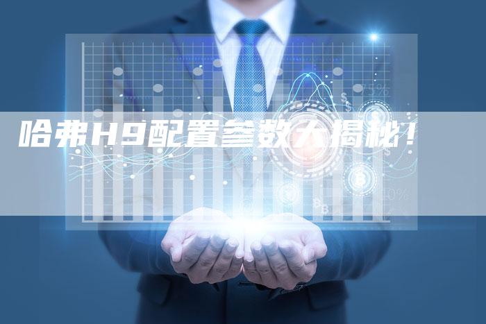 哈弗H9配置参数大揭秘！