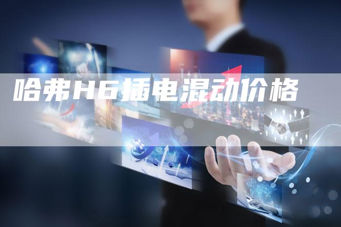哈弗H6插电混动价格-车时代