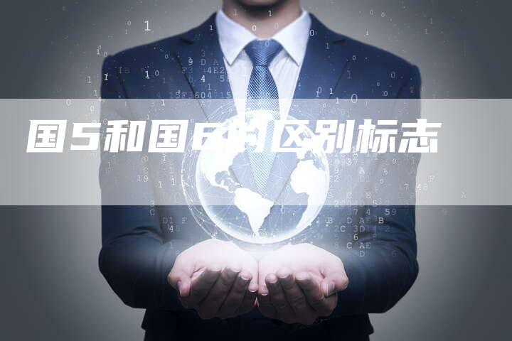 国5和国6的区别标志-车时代
