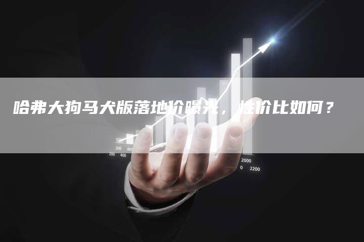 哈弗大狗马犬版落地价曝光，性价比如何？