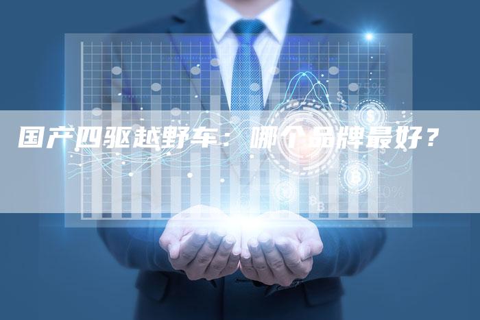 国产四驱越野车:哪个品牌最好?-车时代