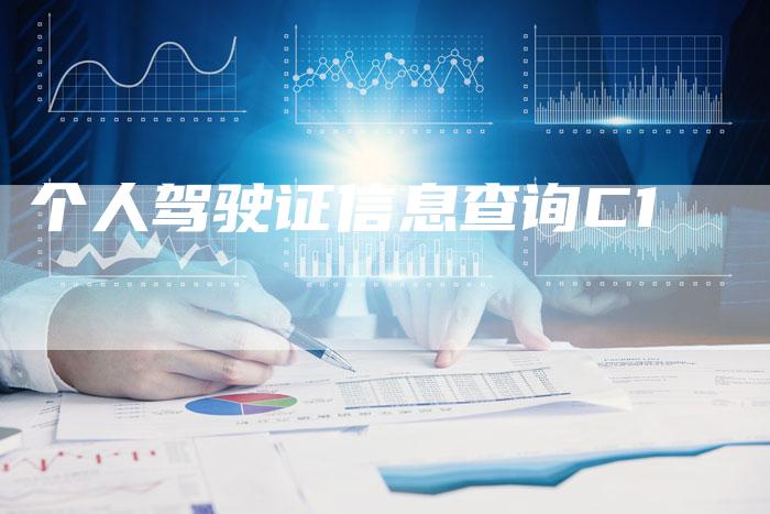 个人驾驶证信息查询C1-车时代