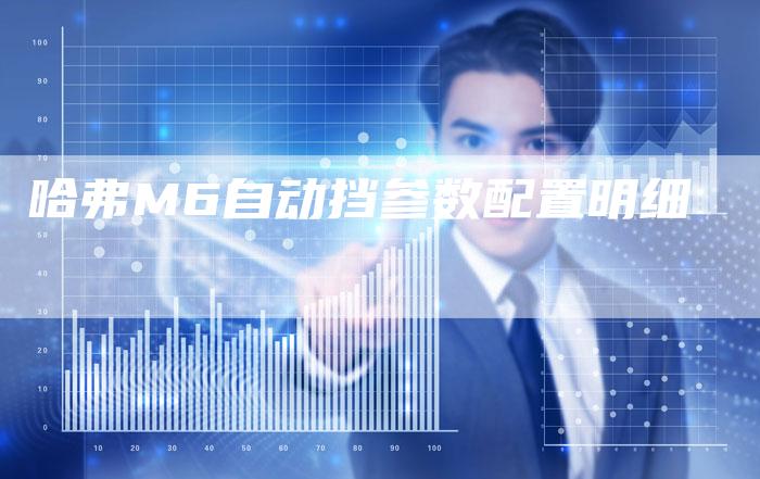 哈弗M6自动挡参数配置明细-车时代