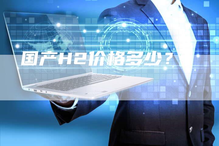 国产H2价格多少？