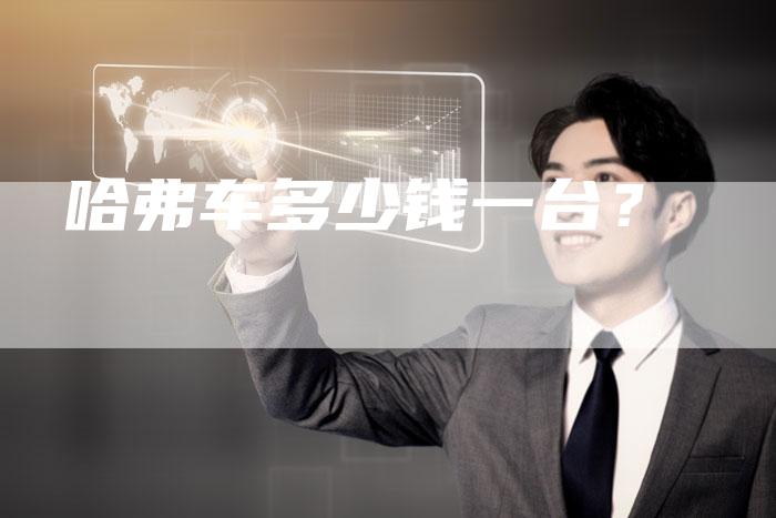 哈弗车多少钱一台?-车时代