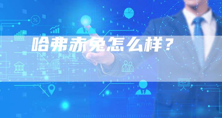 哈弗赤兔怎么样？