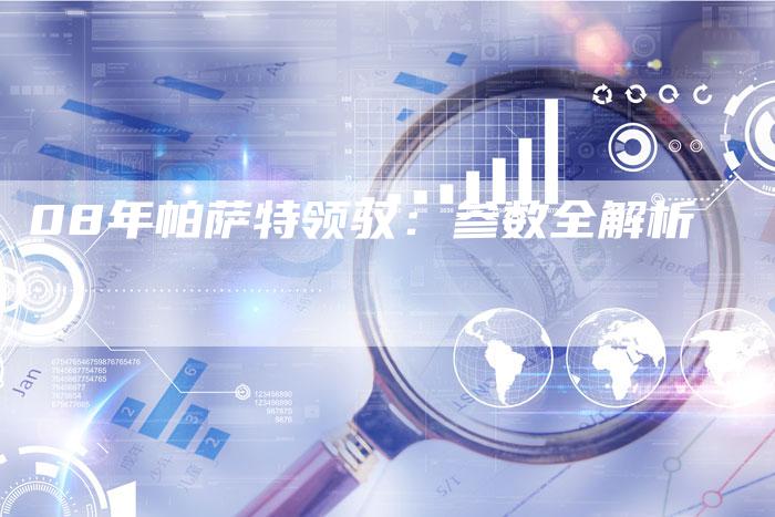 08年帕萨特领驭：参数全解析-车时代