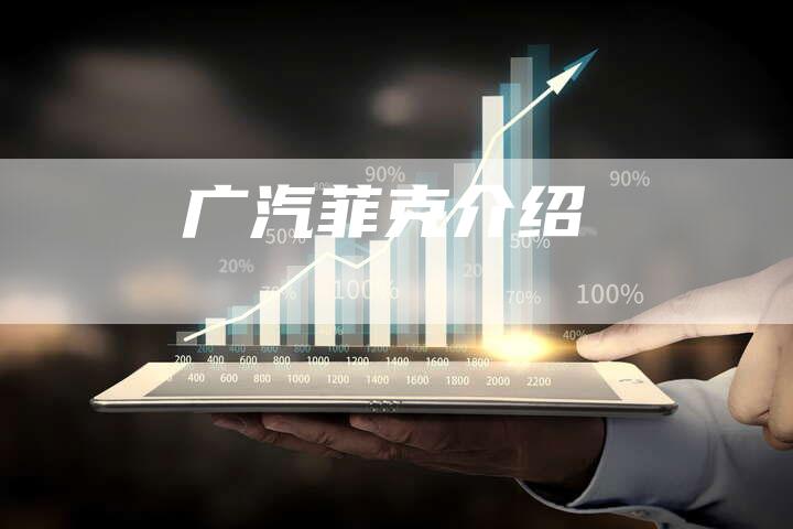 广汽菲克介绍-车时代