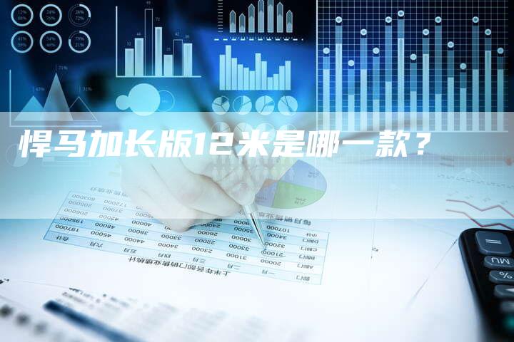 悍马加长版12米是哪一款?-车时代