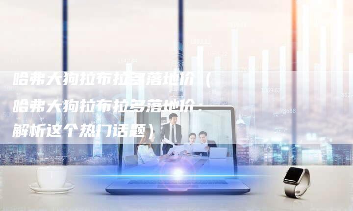 哈弗大狗拉布拉多落地价(哈弗大狗拉布拉多落地价:解析这个热门话题)-车时代