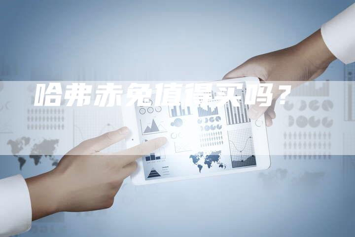 哈弗赤兔值得买吗?-车时代