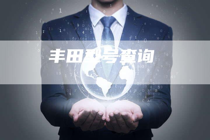 丰田型号查询-车时代