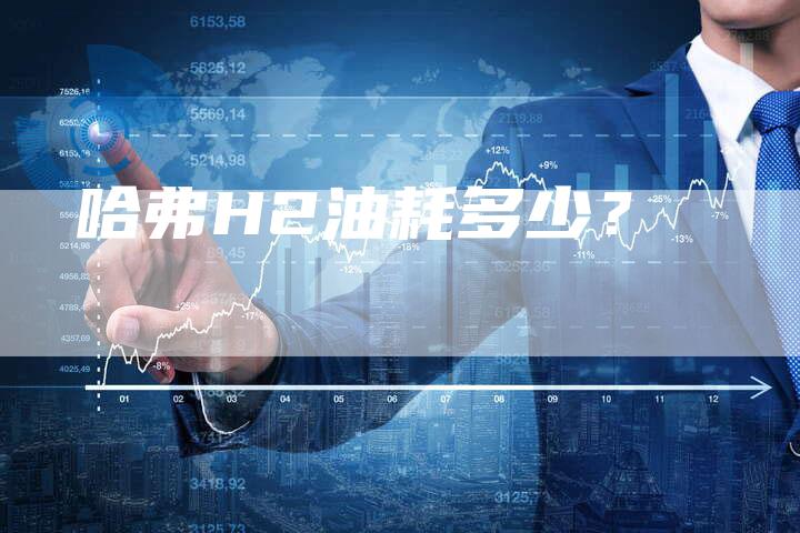 哈弗H2油耗多少?-车时代
