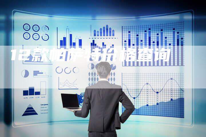 12款帕萨特价格查询-车时代