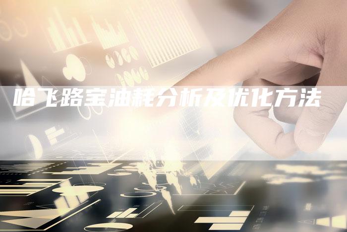哈飞路宝油耗分析及优化方法-车时代