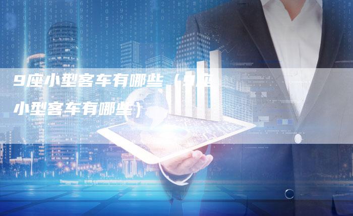 9座小型客车有哪些(9座小型客车有哪些)-车时代