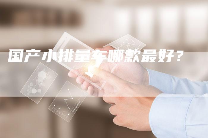 国产小排量车哪款最好?-车时代