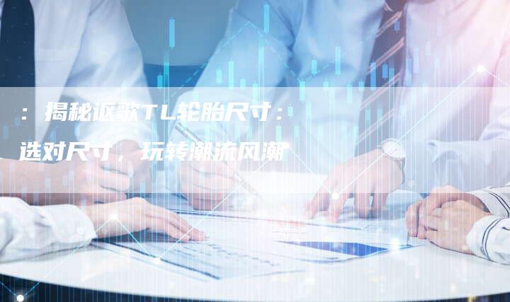 :揭秘讴歌TL轮胎尺寸:选对尺寸,玩转潮流风潮-车时代