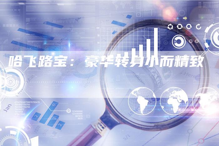 哈飞路宝:豪华转身小而精致-车时代