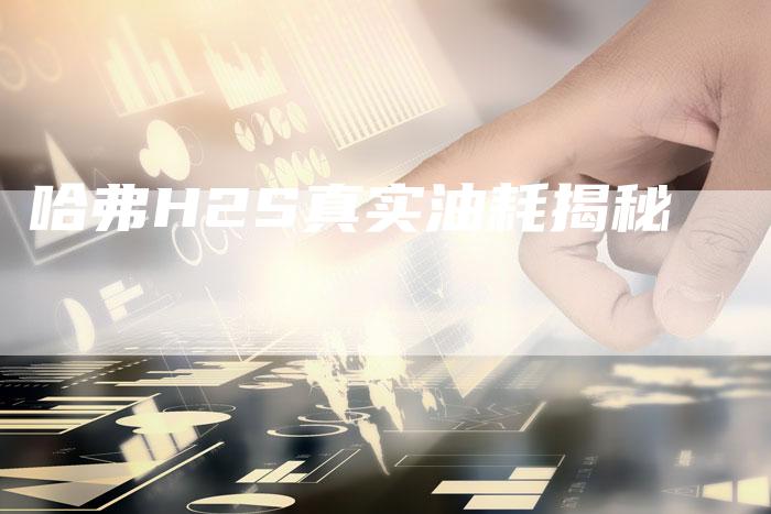 哈弗H2S真实油耗揭秘-车时代