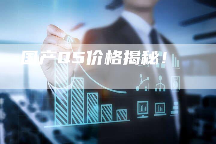 国产Q5价格揭秘!-车时代