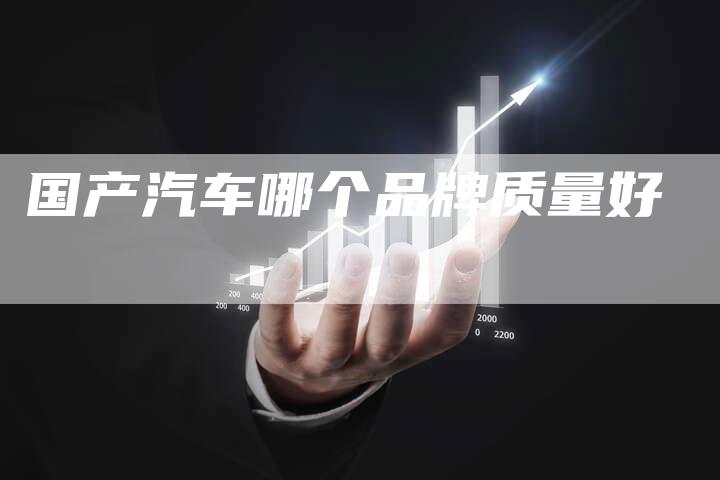 国产汽车哪个品牌质量好-车时代